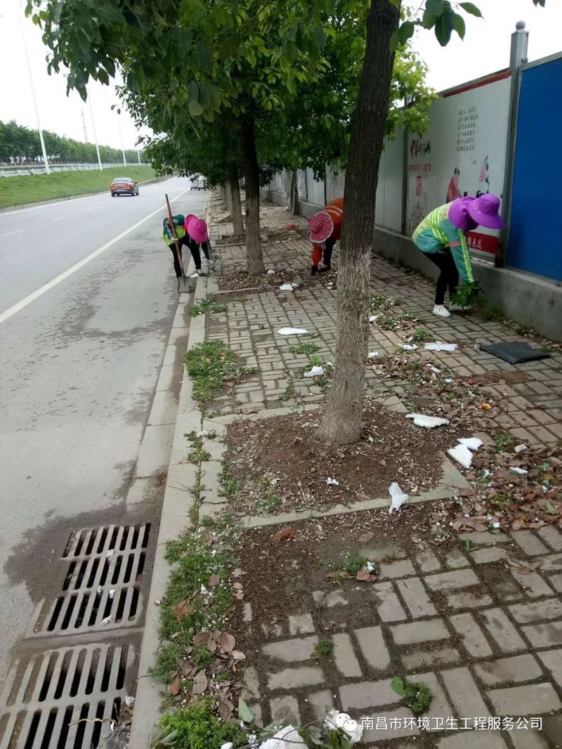 幽兰快速保洁员清理辅道人行道上的杂草垃圾
