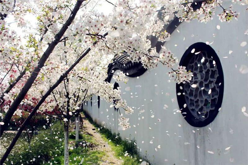 人间芳菲四月天，姹紫嫣红百媚娇