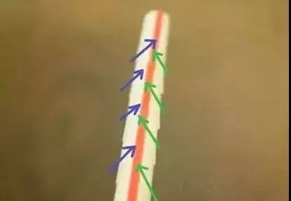 按照箭头方向将吸管左右两边错着剪开