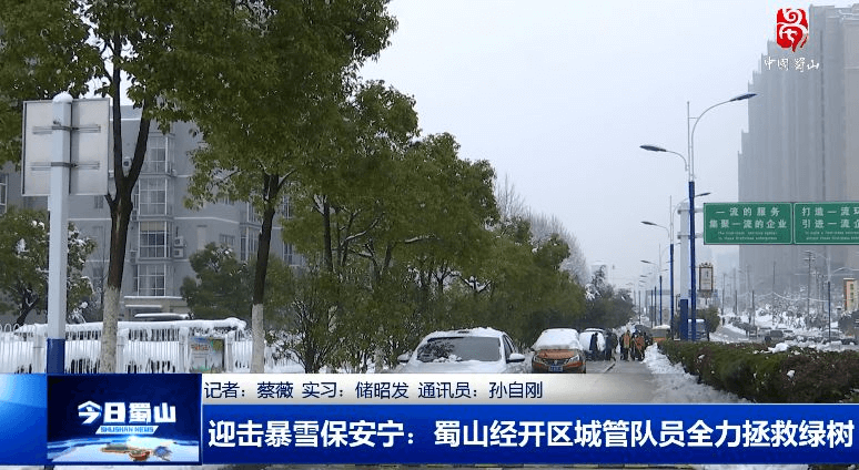 利用高压水枪冲刷树木顶端积雪